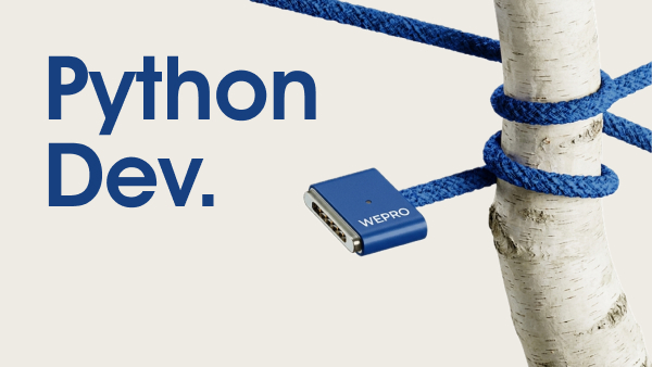 Python - разработка 